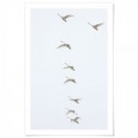 Flying Swans Art Print