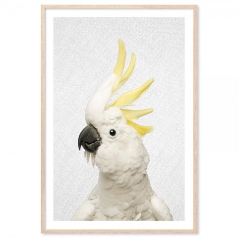 Hello Cockatoo Art Print