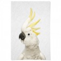 Hello Cockatoo Art Print