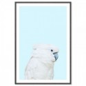 Parrot On Blue Art Print