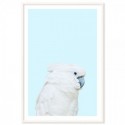 Parrot On Blue Art Print