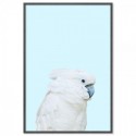 Parrot On Blue Art Print