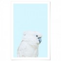 Parrot On Blue Art Print