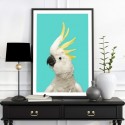 White Cockatoo Aqua Art Print