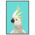 White Cockatoo Aqua Art Print