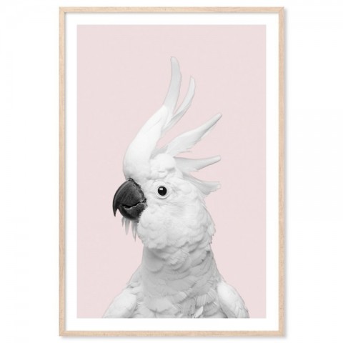 White Cockatoo Monochrome Pink Art Print