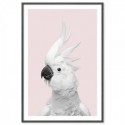 White Cockatoo Monochrome Pink Art Print