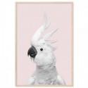 White Cockatoo Monochrome Pink Art Print