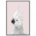 White Cockatoo Monochrome Pink Art Print