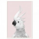 White Cockatoo Monochrome Pink Art Print