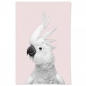 White Cockatoo Monochrome Pink Art Print