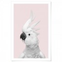 White Cockatoo Monochrome Pink Art Print