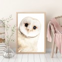 White Owl Art Print