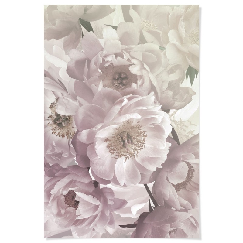 Baroque Peonies in Flower Art Print