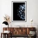 Dahlia Indigo Art Print