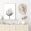 Lotus Flower Full Bloom Art Print