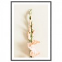Peach Gladiolus Flower Art Print