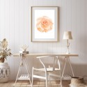 Peach Rose Art Print