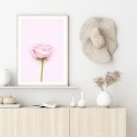 Pink Rose Art Print