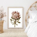 Protea Flower Pink Art Print