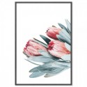 Protea Flowers Bouquet Art Print