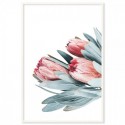 Protea Flowers Bouquet Art Print