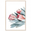 Protea Flowers Bouquet Art Print