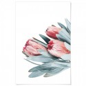Protea Flowers Bouquet Art Print