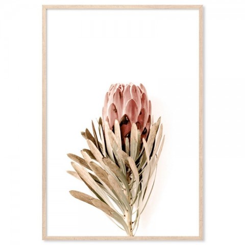 Proteus Flower Art Print