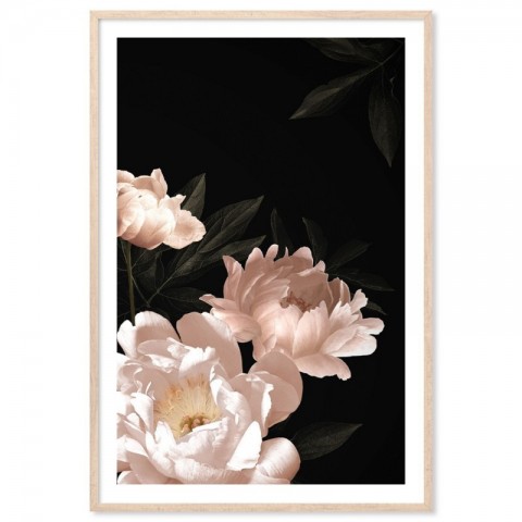 Vintage Peonies Art Print