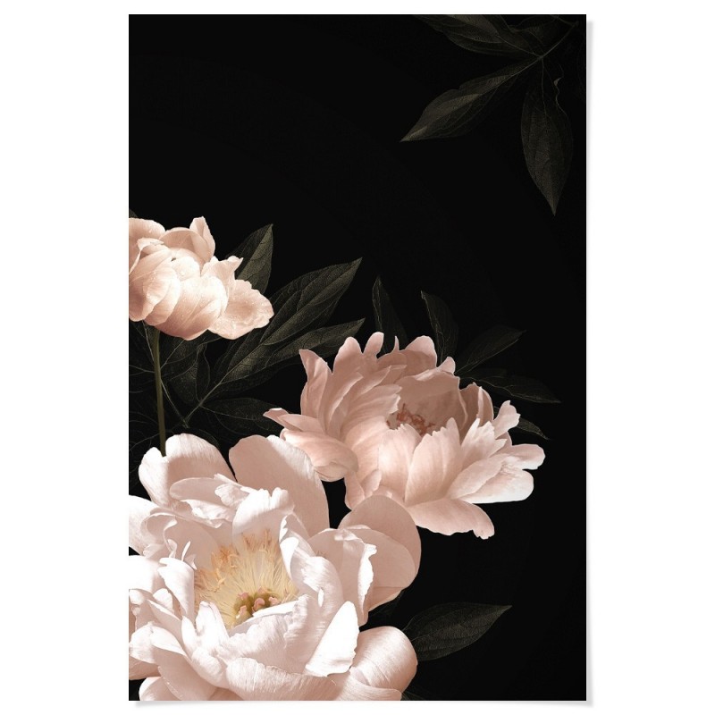 Vintage Peonies Art Print