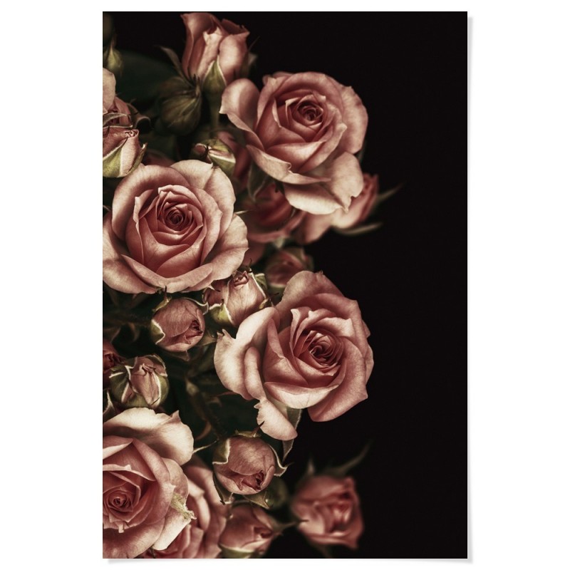 Vintage Rose Bouquet Art Print