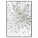 White Chrysanthemum Art Print