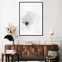 White Magnolia Art Print