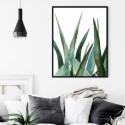 Agave Leaves Watercolour Art Print