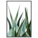 Agave Leaves Watercolour Art Print