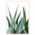 Agave Leaves Watercolour Art Print