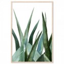 Agave Leaves Watercolour Art Print