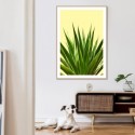 Agave Plant Art Print