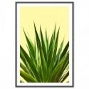 Agave Plant Art Print