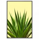 Agave Plant Art Print