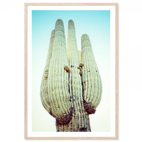 Blue Desert Cactus Art Print