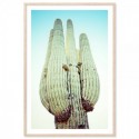 Blue Desert Cactus Art Print