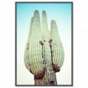 Blue Desert Cactus Art Print