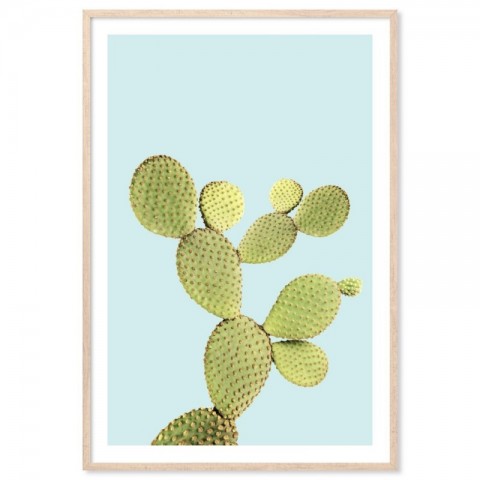 Cactus Plant Opuntia Art Print