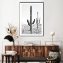 Desert Cactus Art Print