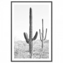 Desert Cactus Art Print