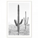 Desert Cactus Art Print