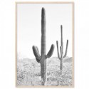 Desert Cactus Art Print