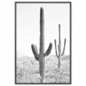 Desert Cactus Art Print